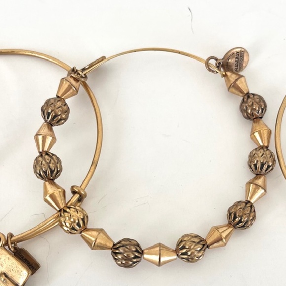 Alex and Ani 4 Gold Charmed Bracelets - Picture 5 of 6